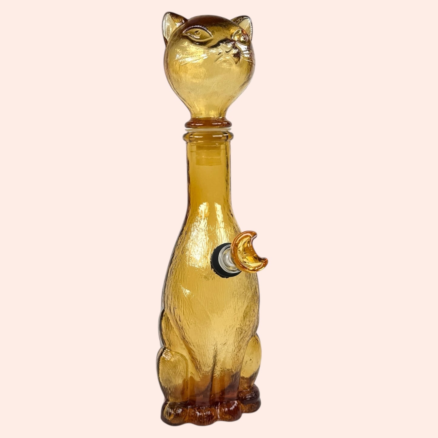 Empoli cat