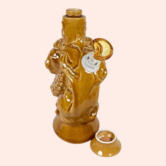 Leo & aquarius soul signs