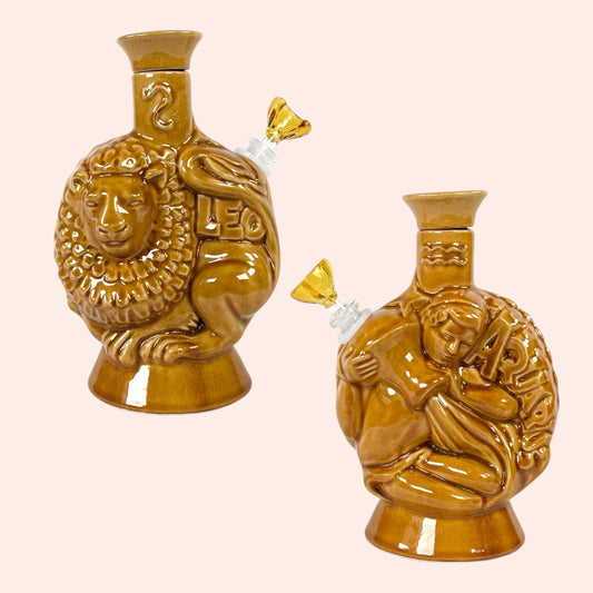 Leo & aquarius soul signs